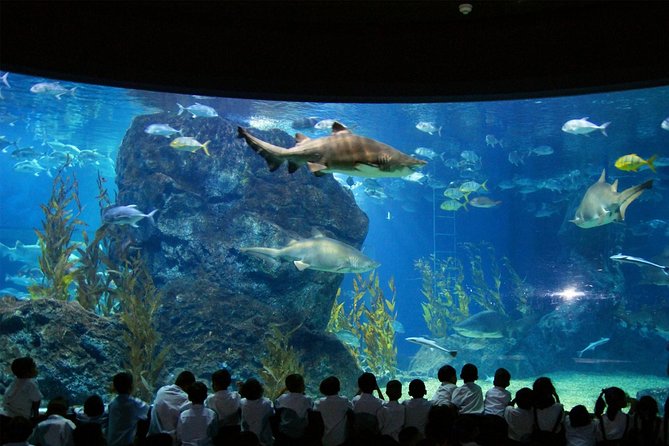 SEA LIFE & Madame Tussauds: Ultimate Bangkok Combo Ticket - Location: Siam Discovery meet-up with an aquarium day plan