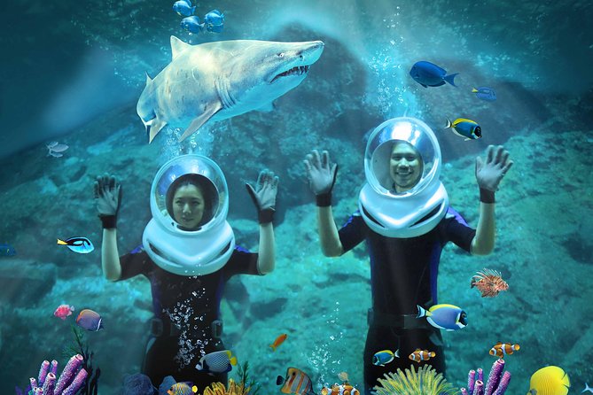 SEA LIFE & Madame Tussauds: Ultimate Bangkok Combo Ticket - Who this combo suits best (and who might want a different plan)
