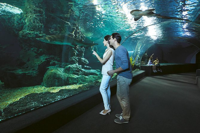 SEA LIFE & Madame Tussauds: Ultimate Bangkok Combo Ticket - Should you book the SEA LIFE and Madame Tussauds combo?