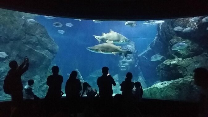 SEA LIFE Ocean World at Bangkok Admission Ticket - The 7 themed exhibits: how to plan your walking route