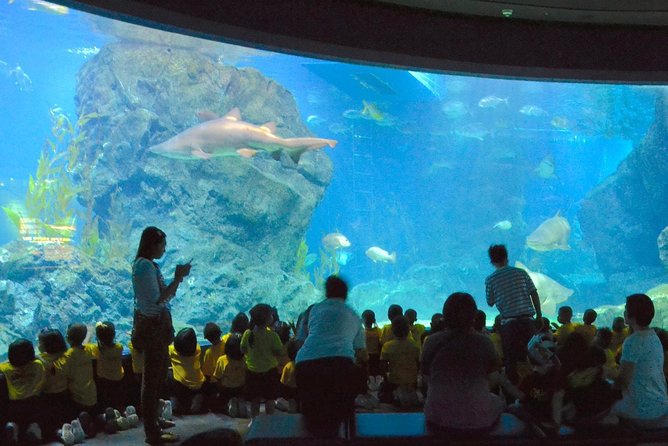 SEA LIFE Ocean World at Bangkok Admission Ticket - Shark Walk and the glass-floored experience