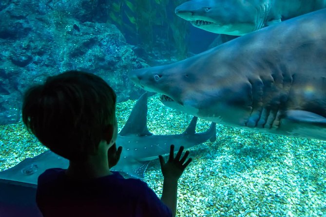 SEA LIFE Ocean World at Bangkok Admission Ticket - How long to spend: fitting the aquarium into a Bangkok day