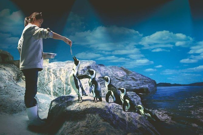 SEA LIFE Ocean World at Bangkok Admission Ticket - Who this fits best (and who should think twice)