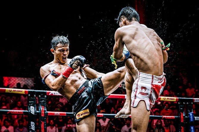 Siam Fantasy Cultural and Martial Arts Show - Martial arts, drummers, and audience moments