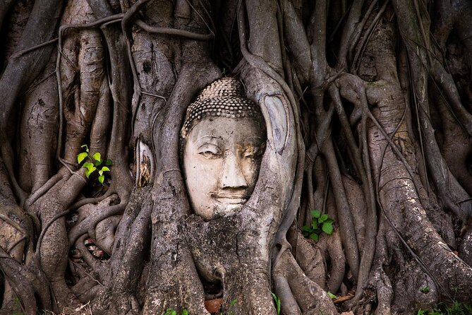 Temples of Ayutthaya Day Tour from Bangkok - Key Things to Know Before You Go