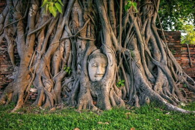 Three Temple Ayutthaya Tour with Scenic Boat Ride - Wat Mahathat: the banyan-root Buddha head you came for