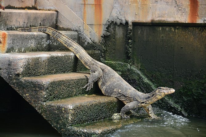 Timeless Thonburi Canal and Food Tour - Long-tail boat to Artist House: watching Thonburi from the water