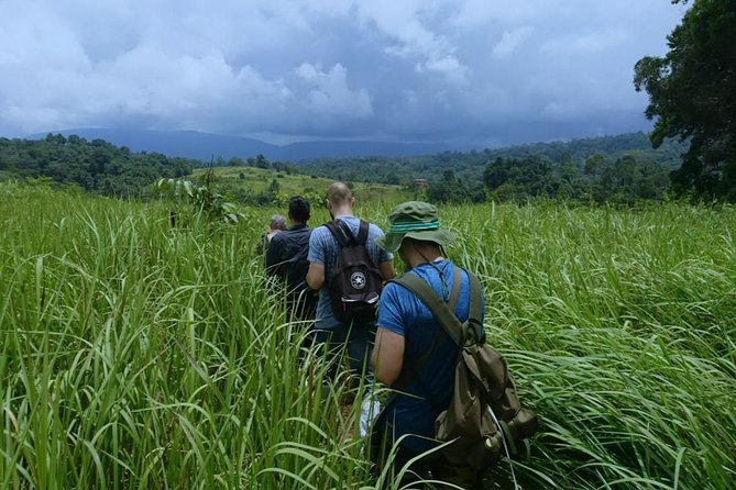 UNESCO Khao Yai National Park Adventure: Hiking & Waterfalls - Khao Yai’s big payoff, starting before sunrise
