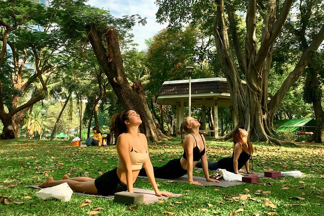 Yoga in the Park Thailand - Your 90 Minutes: Meditation, Pranayama, and Asana Flows