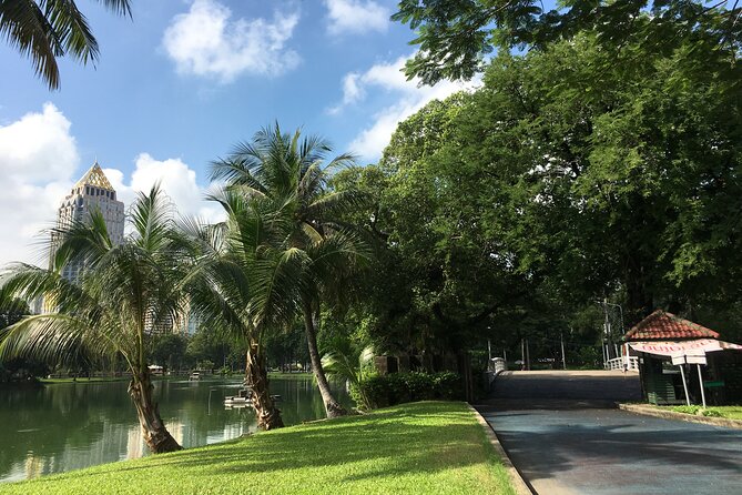 Yoga in the Park Thailand - The Park Environment: Wildlife Sightings Without Losing Your Focus